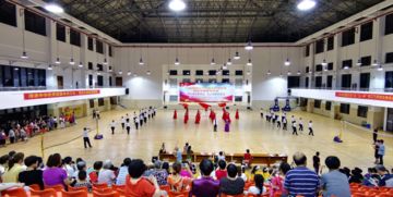 田园社区项目社会组织文艺汇演暨村社会组织服务中心授旗仪式圆满落幕